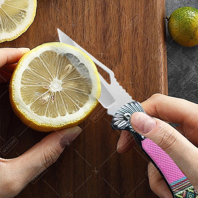 Coltello Pieghevole WXCOO in A - Kitchen Q recensione e prezzo